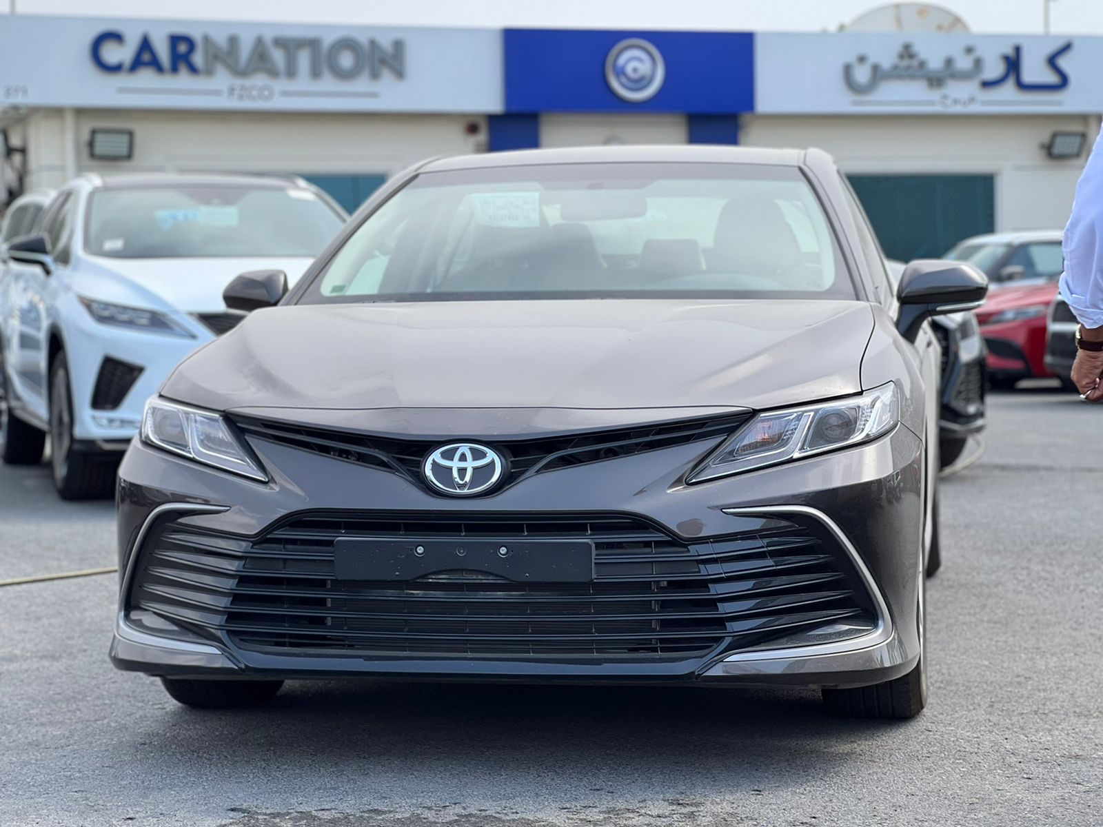 carnation's Product Image