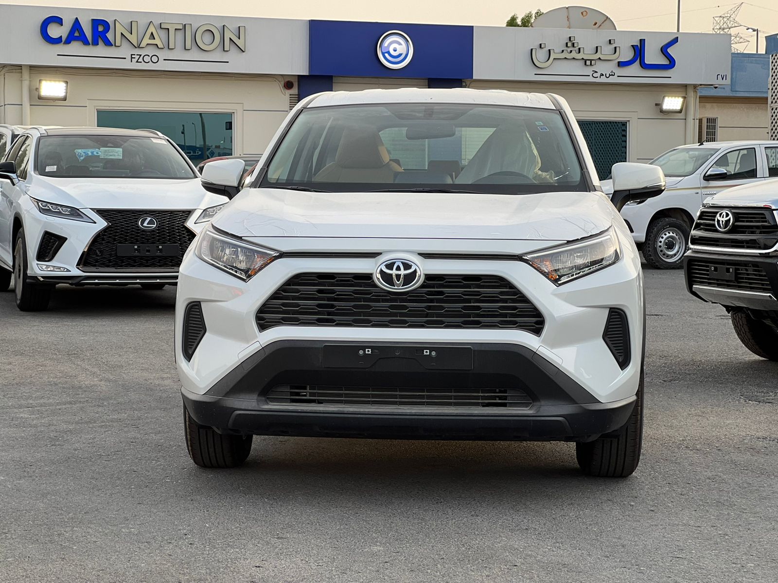 carnation's Product Image