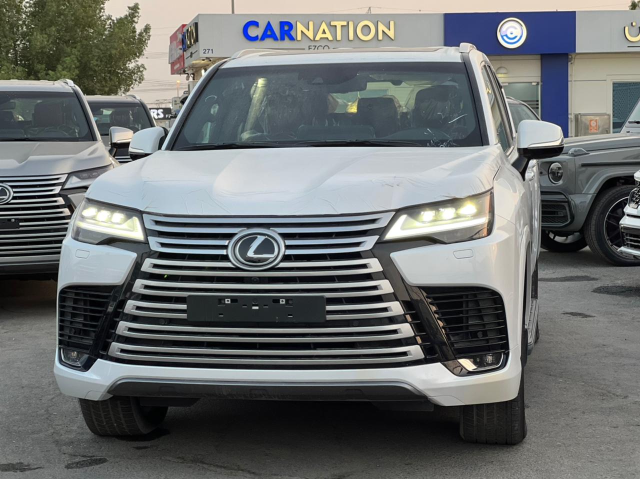 carnation's Product Image