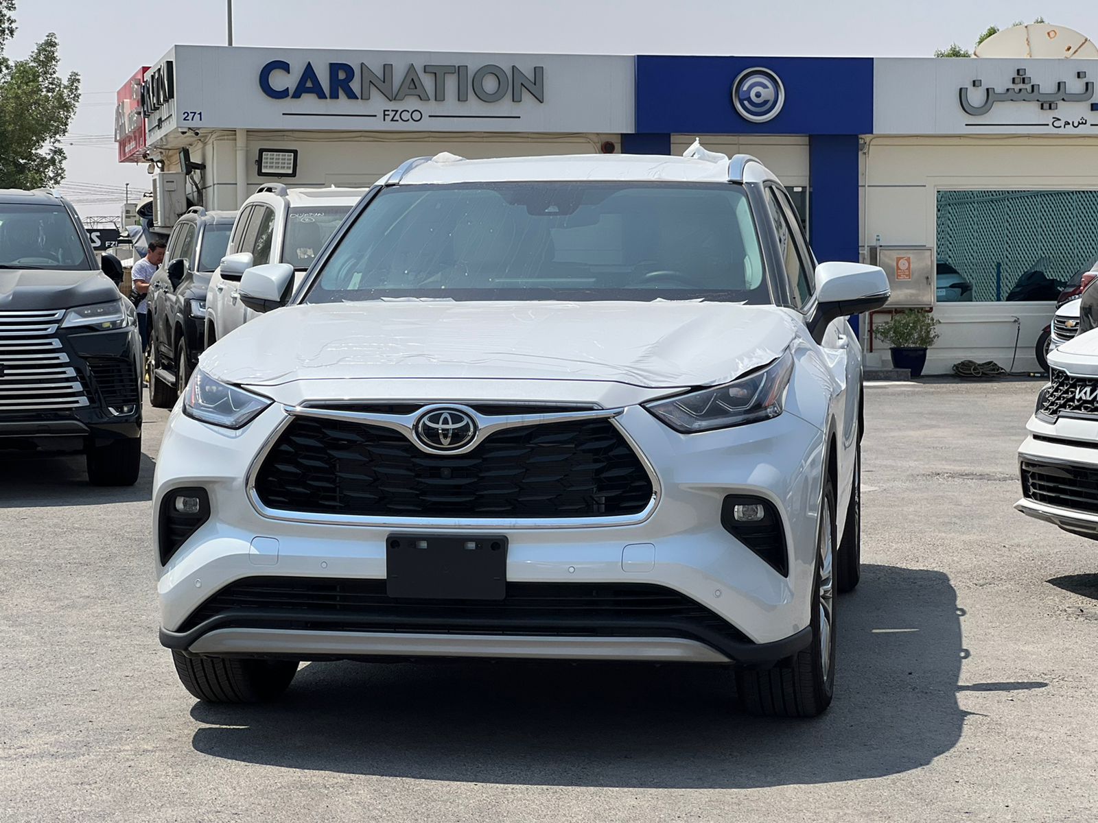 carnation's Product Image