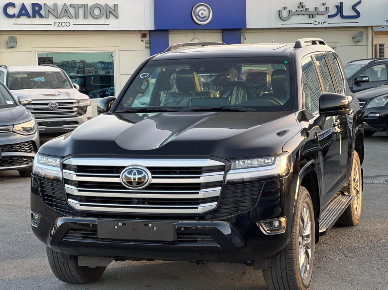 carnation's Product Image