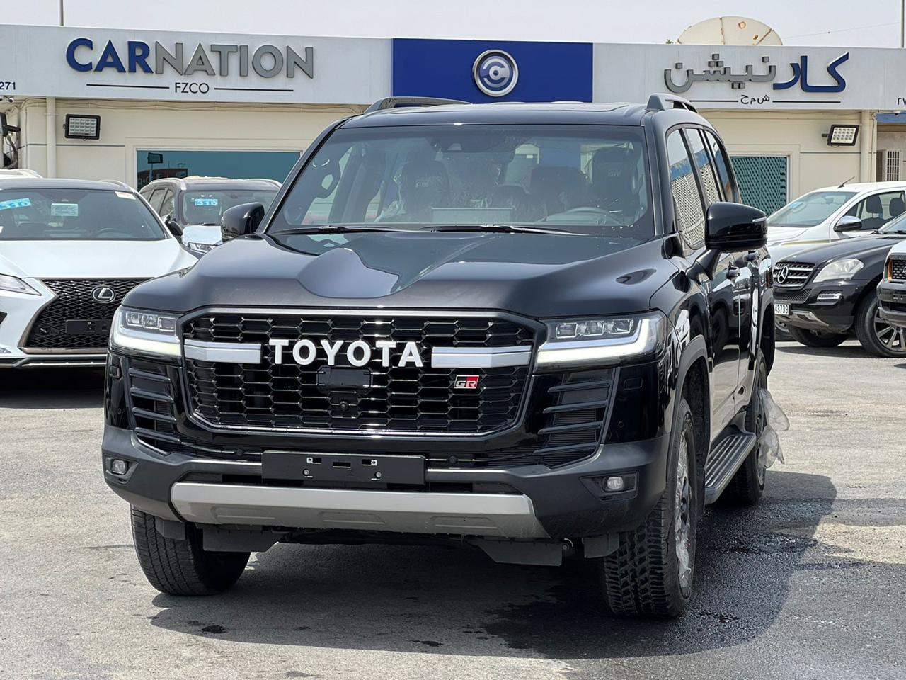 carnation's Product Image