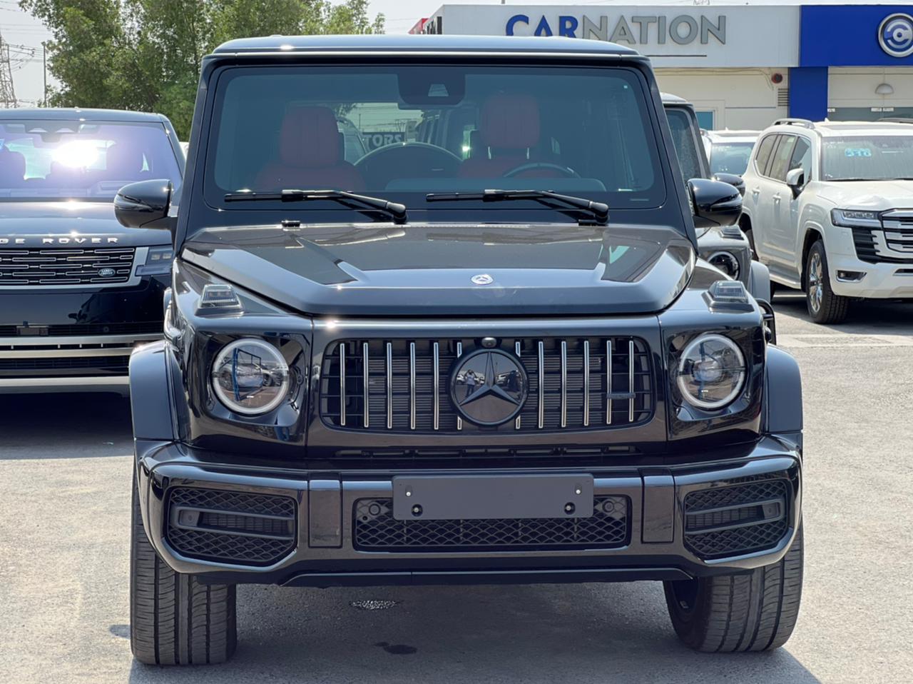 carnation's Product Image